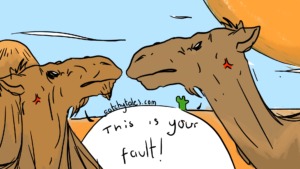 The quarreling camels