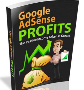 Google Adsense Profits